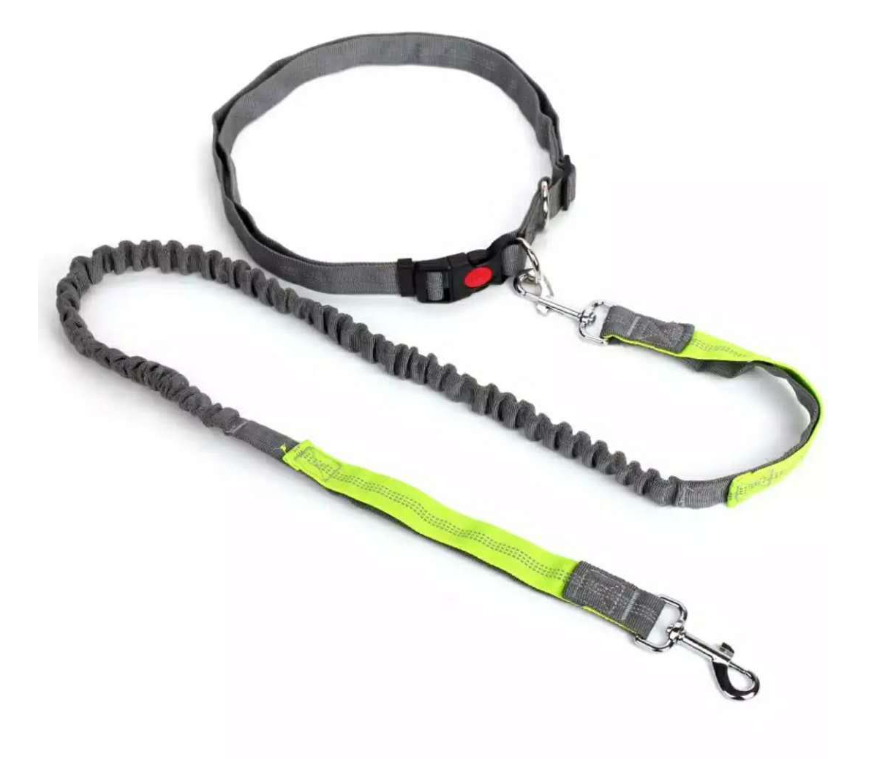 Hands Free Lead and Belt Set