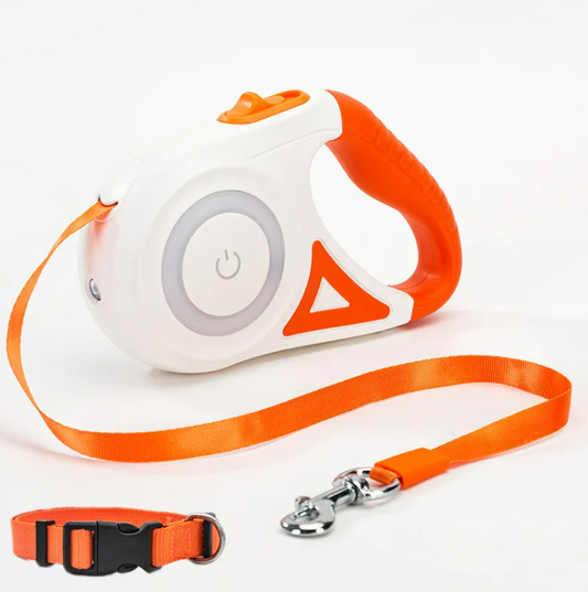 Retractable Lead with Light