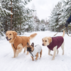 Winter Warmth Vest lifestyle