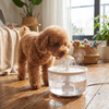 Heated Pet Water Fountain with Fuji