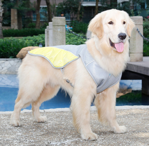 Cooling Summer Vest