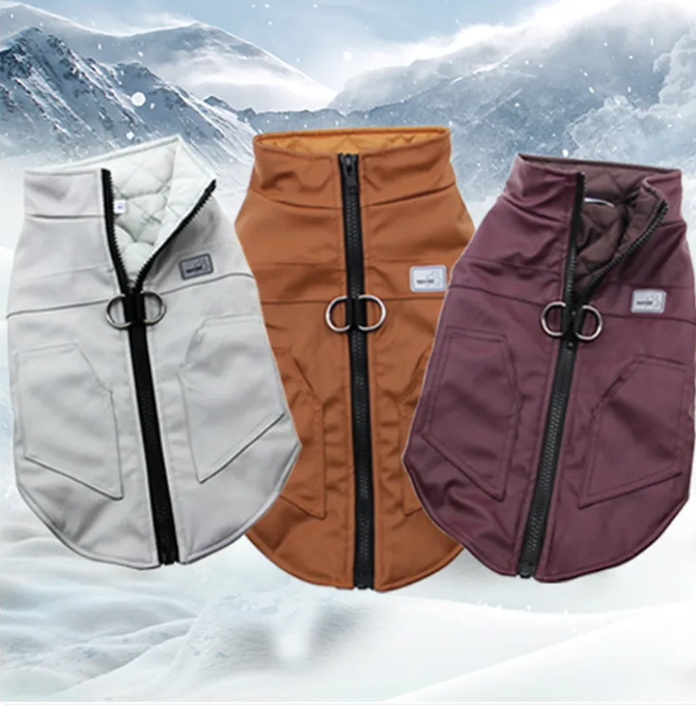 Winter Warmth Vest