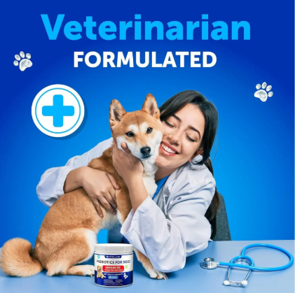 Daily Probiotic Chews