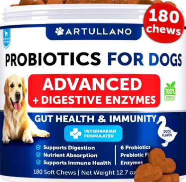 Daily Probiotic Chews
