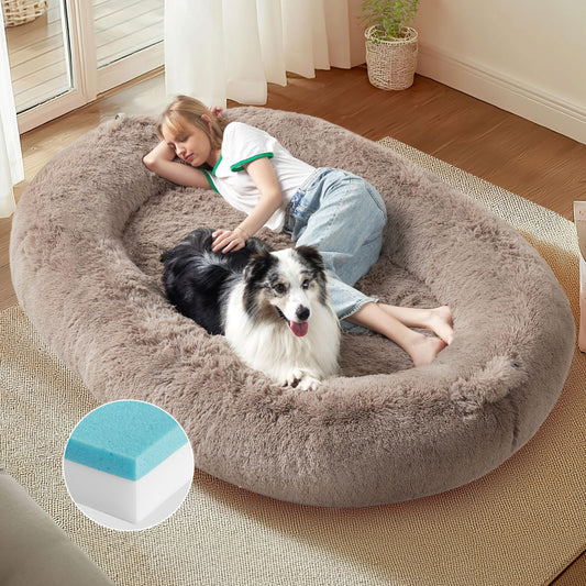 Human Sized Memory Foam Dog Bed