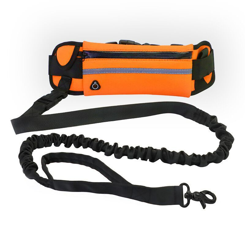 Lead with Built In Pouch
