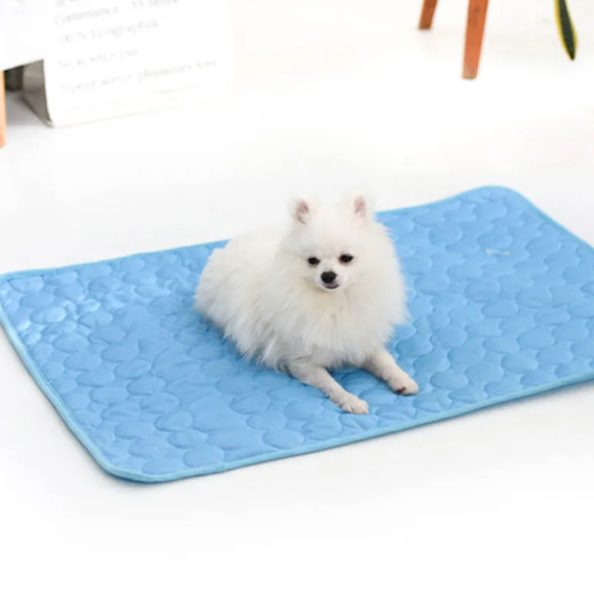 Ice Silk Cooling Mat