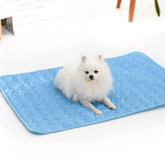 Ice Silk Cooling Mat