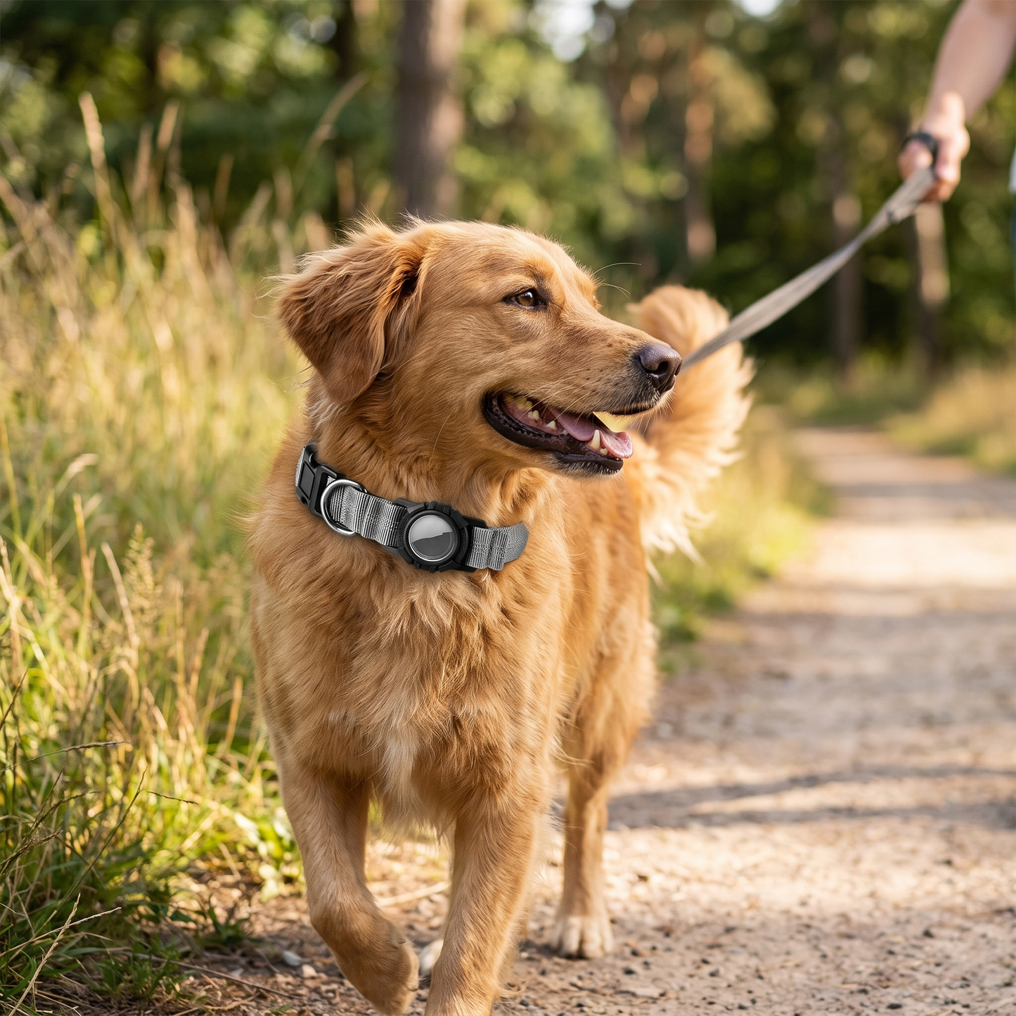 AirTag Dog Collar lifestyle