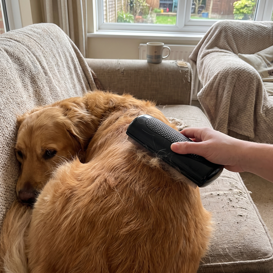 Dual Sided Shedding Comb lifestyle