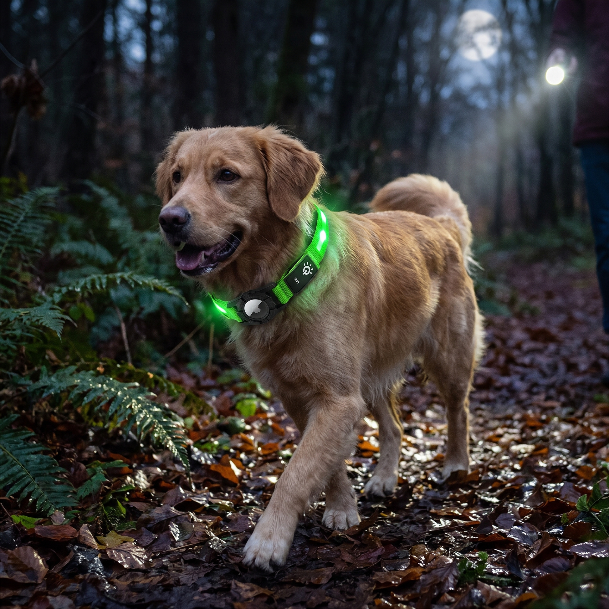 Luminous AirTag Collar lifestyle
