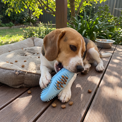 Simple Chew Toy lifestyle