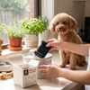Replacement Fountain Filters with Fuji