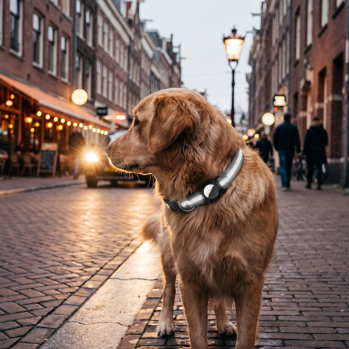 AirTag Dog Collar lifestyle 3