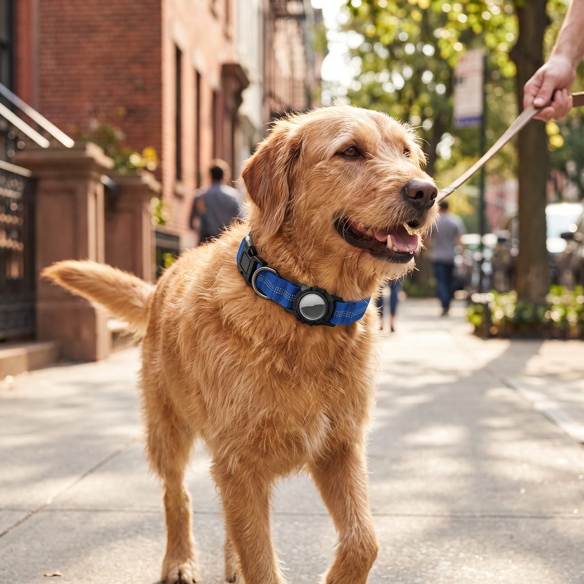 AirTag Dog Collar lifestyle 6