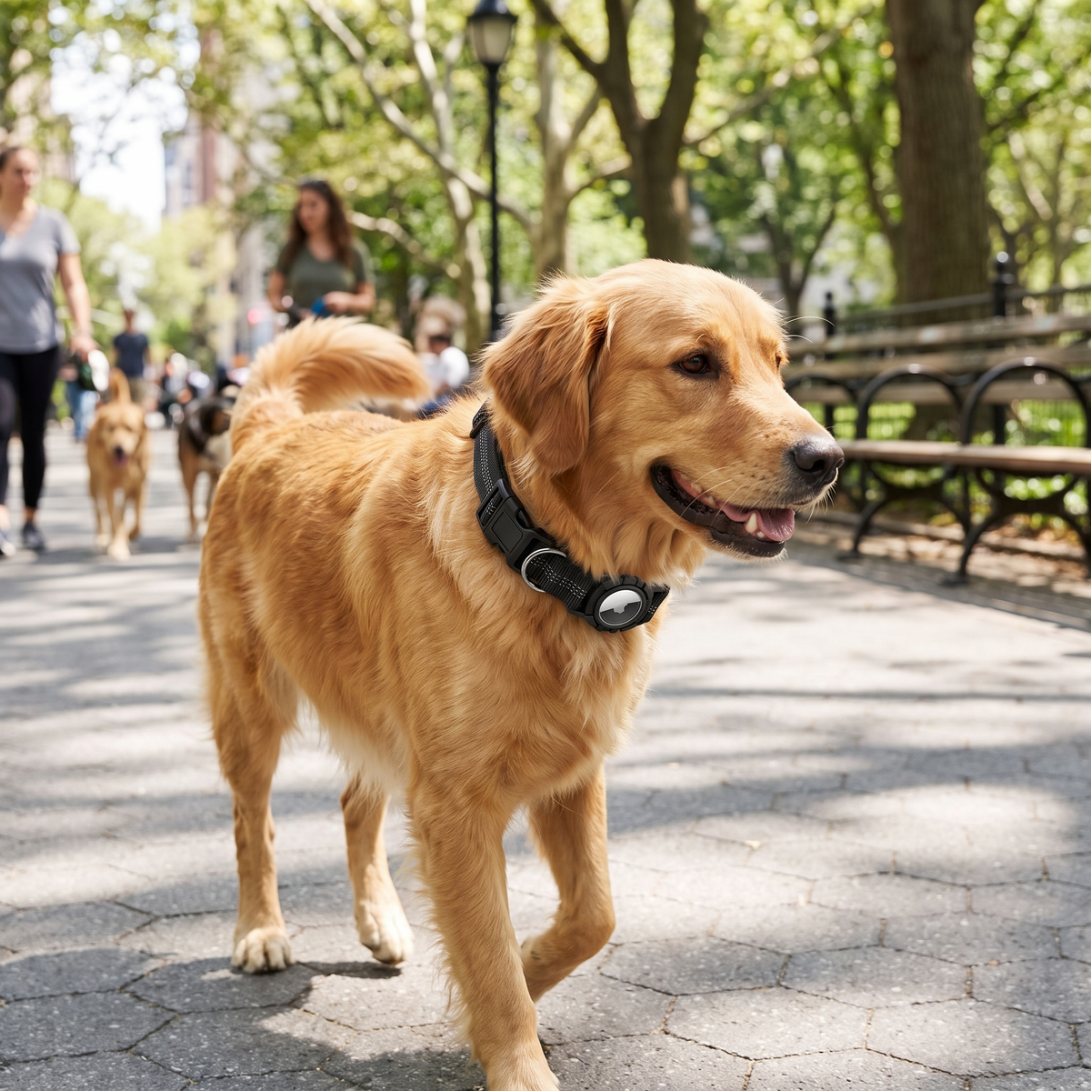 AirTag Dog Collar lifestyle 25