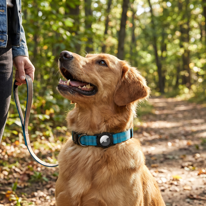 AirTag Dog Collar lifestyle 43