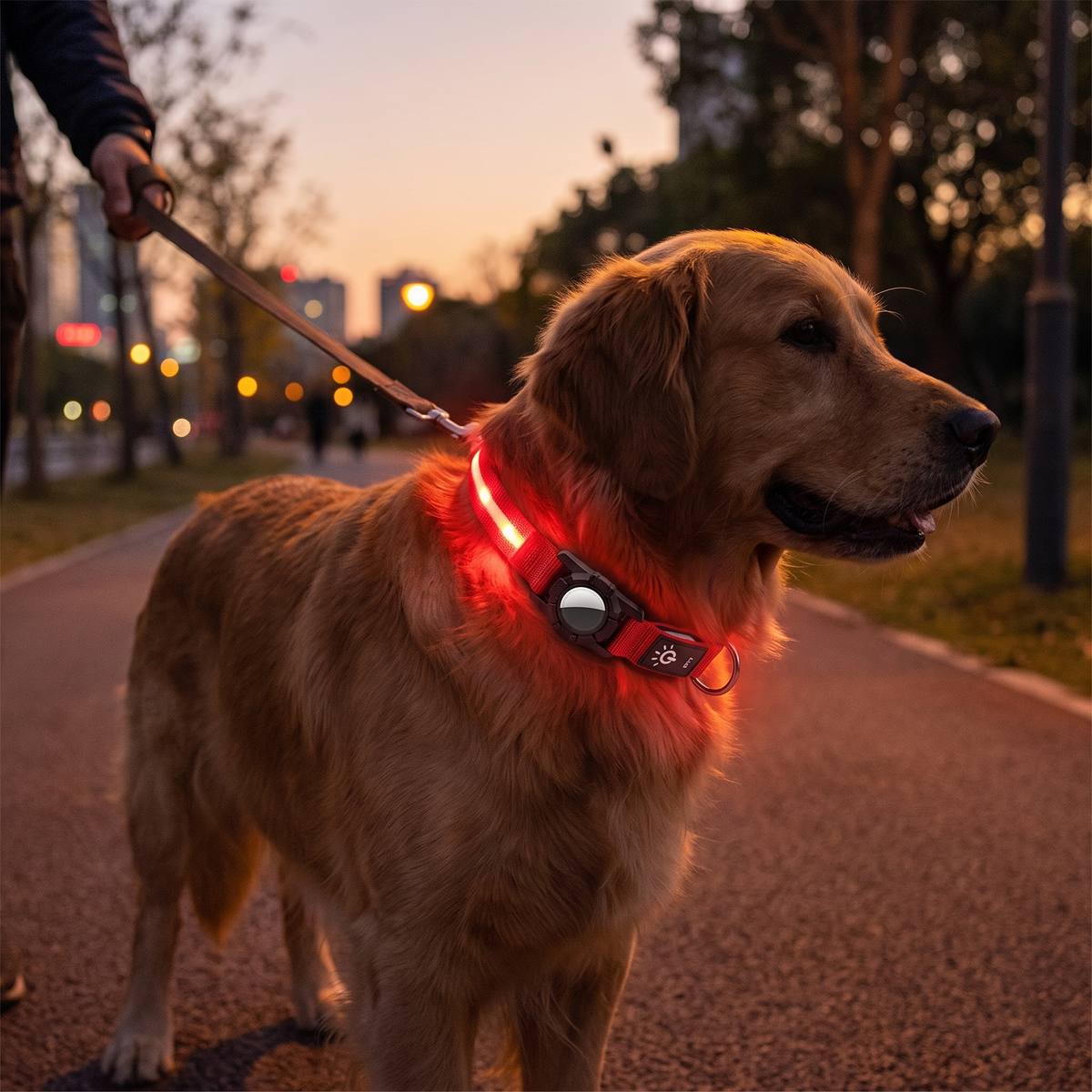 Luminous AirTag Collar lifestyle 1