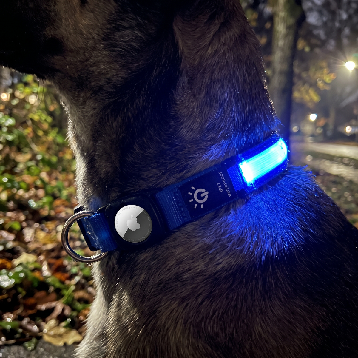 Luminous AirTag Collar fibre optic lifestyle