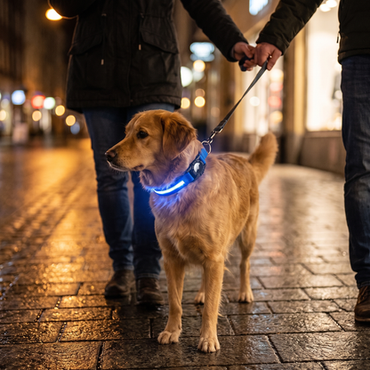 Luminous AirTag Collar blue lifestyle
