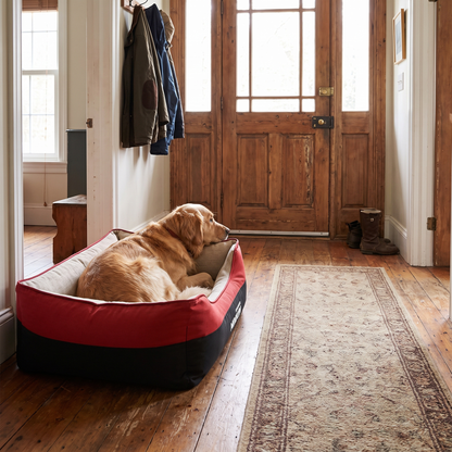 Washable Four Seasons Bed red lifestyle 4