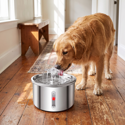 Stainless Steel Water Fountain lifestyle 5
