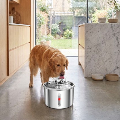 Stainless Steel Water Fountain lifestyle 6