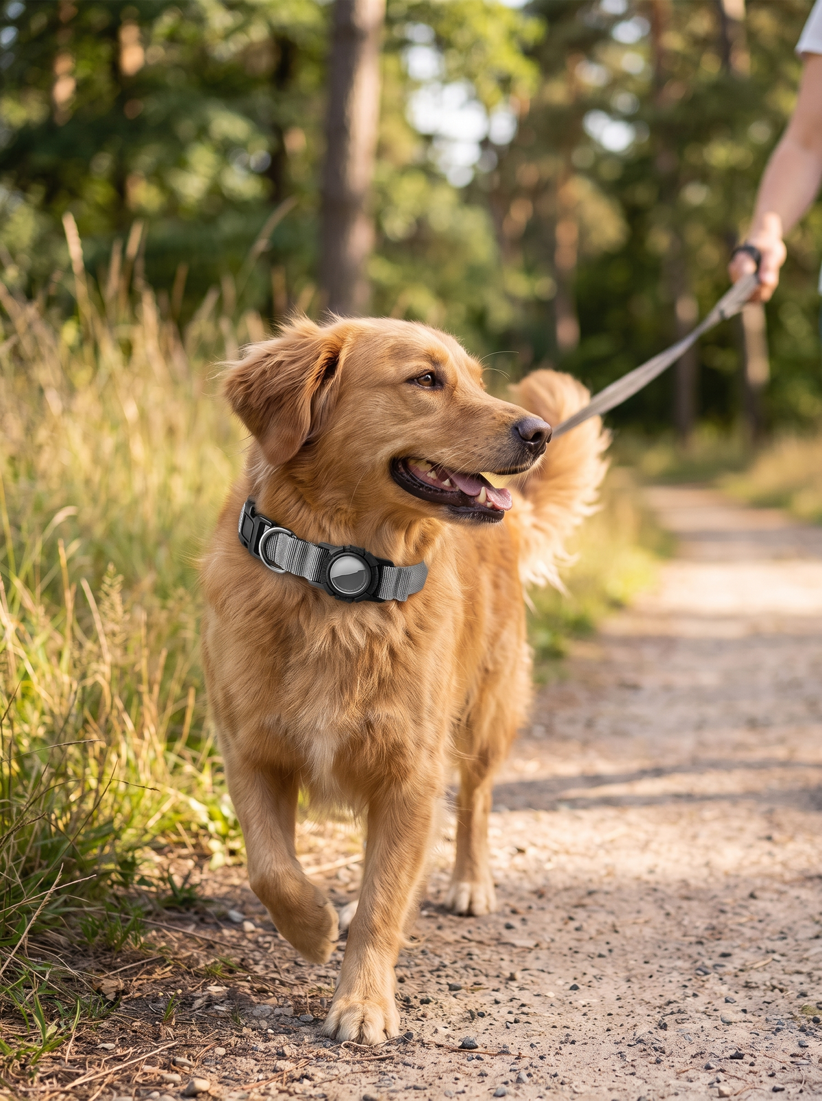 Everyday cotton AirTag dog collar worn at home