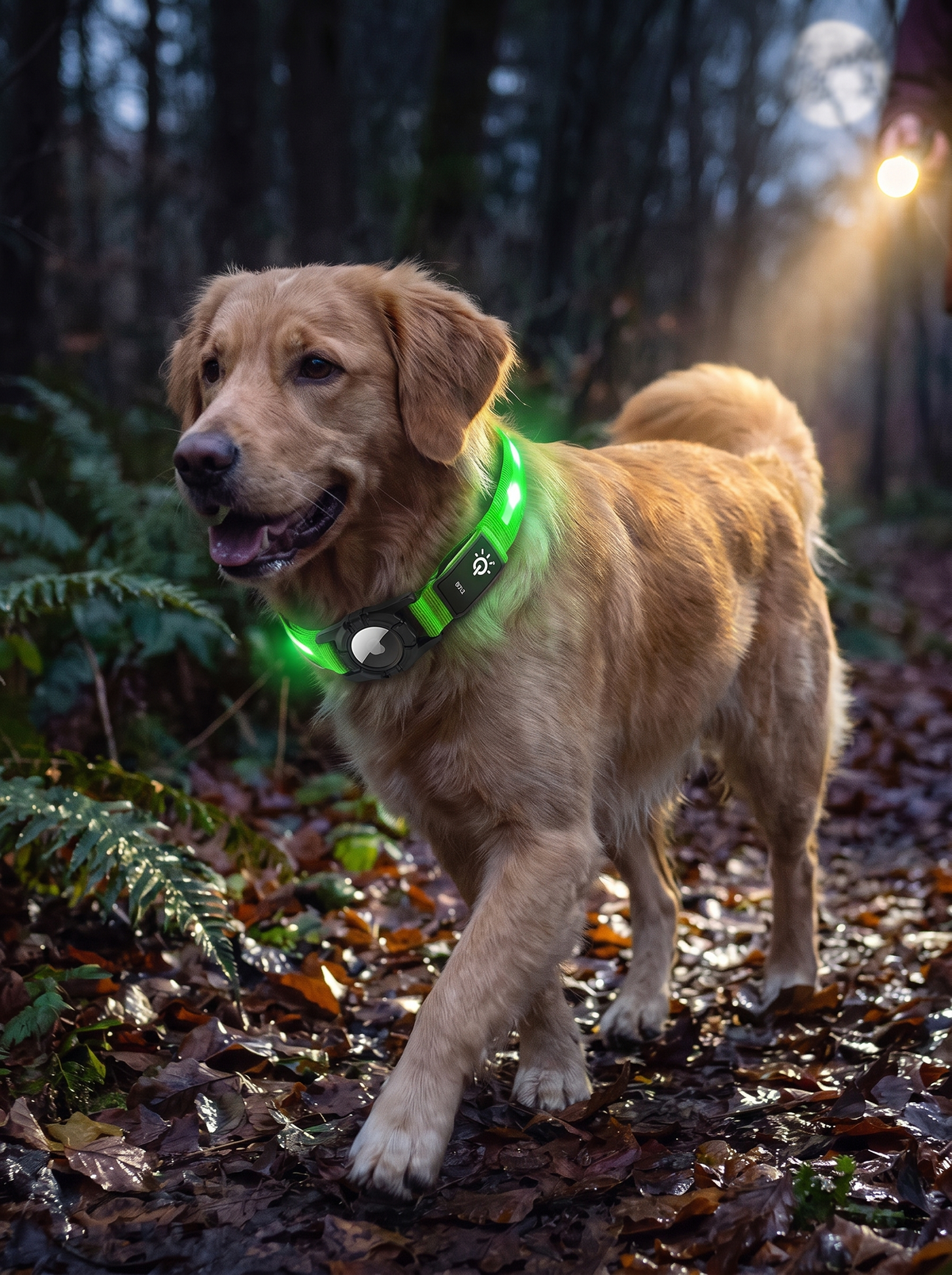 AirTag seated in the holder on the light up collar