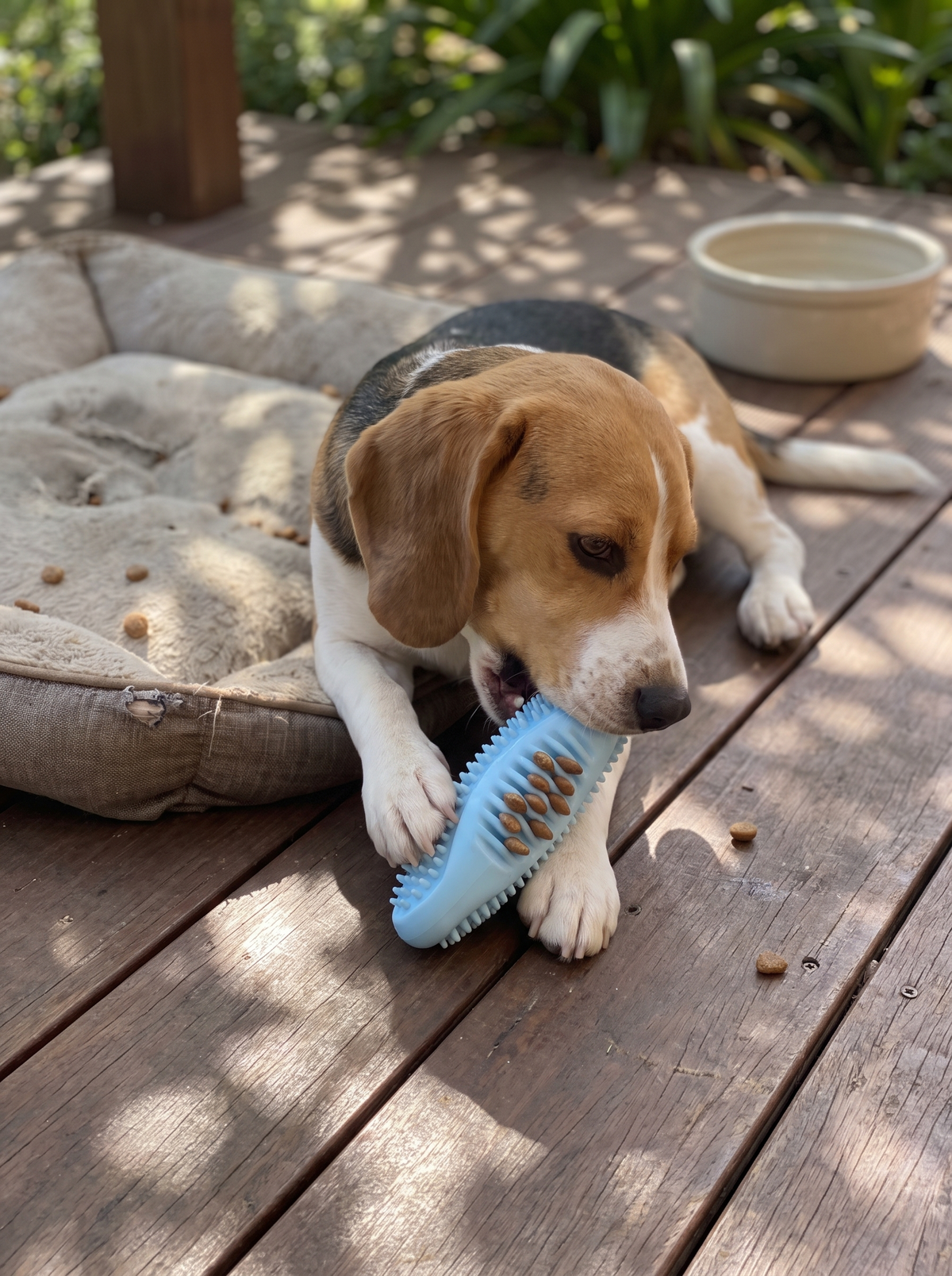 Quiet TPR chew toy in a calm living room
