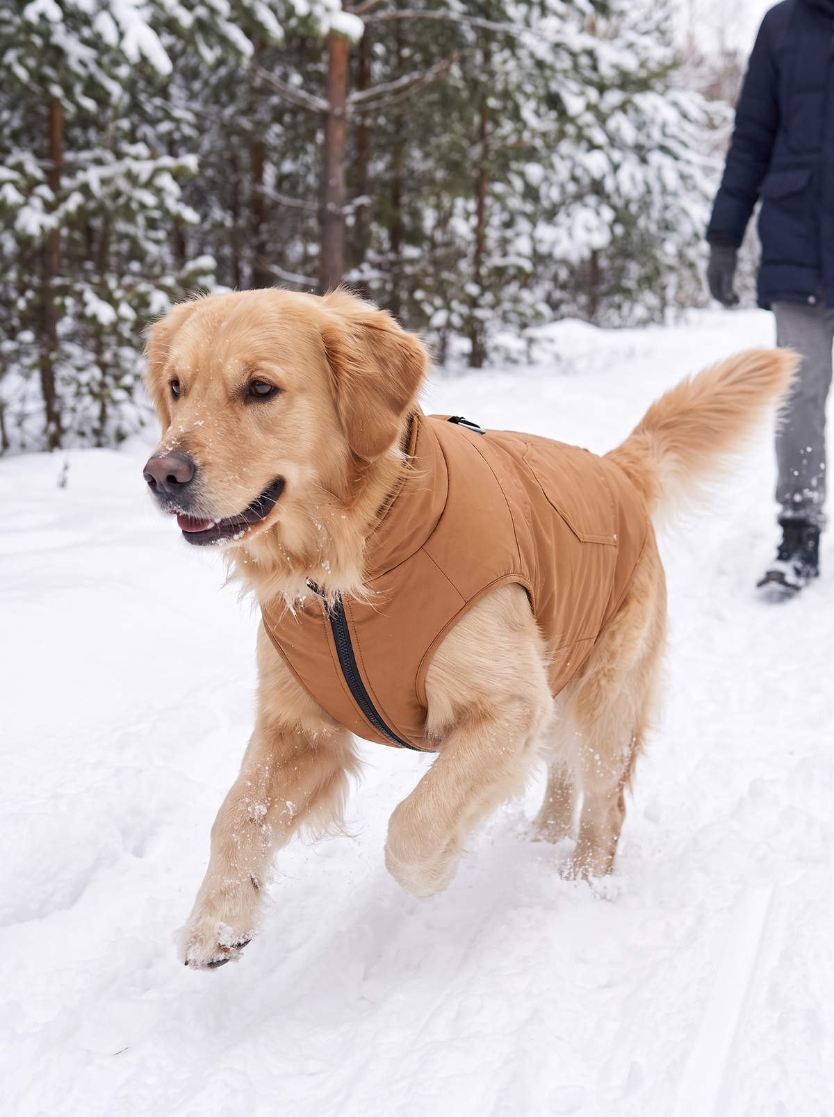 Slipping the stretchy winter vest onto a dog
